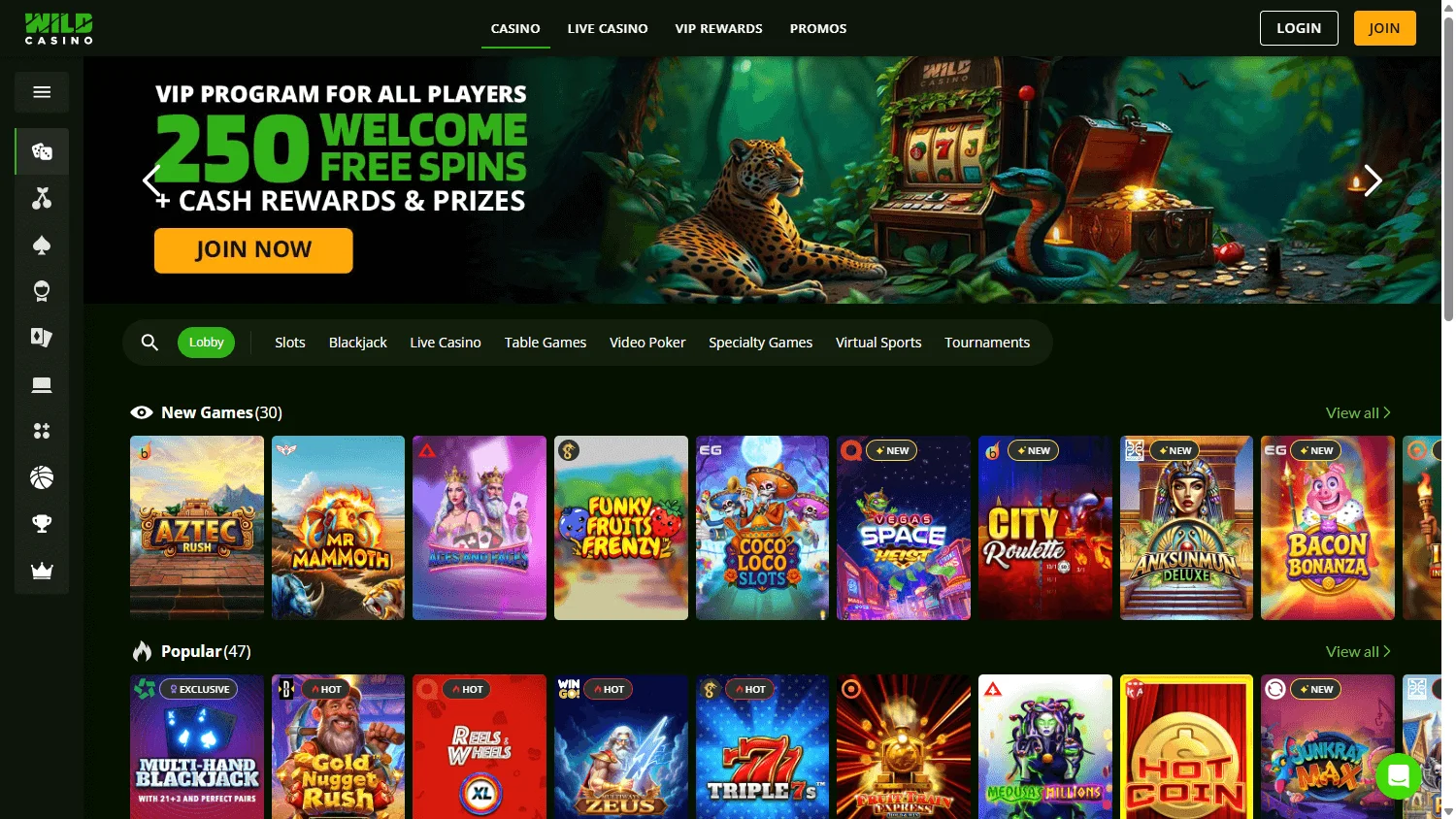 Wild Casino desktop home interface with casino access and account options